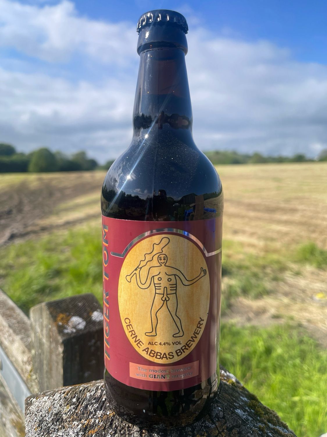 Tiger Tom Ruby Mild 12 x 500ml