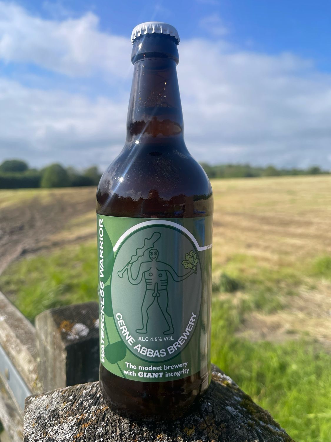 Watercress Warrior 12 x 500ml