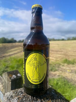 Bottle Blonde 12 x 500ml Bottle Blonde 12 x 500ml