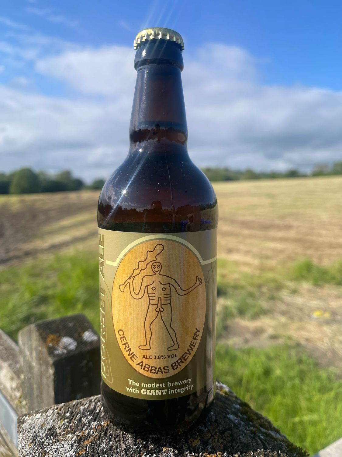 Dorset Ale 12 x 500ml Dorset Ale 12 x 500ml