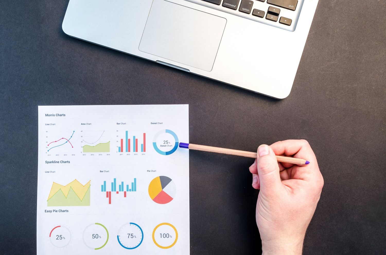 Search Engine Optimization (SEO)