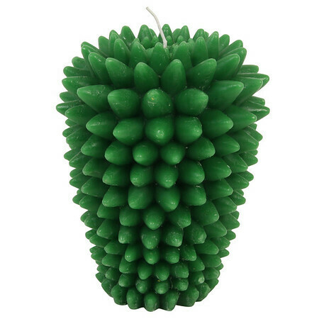 Bougie en forme de cactus