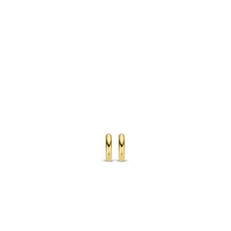Boucles d'oreilles Ti Sento 7210YS