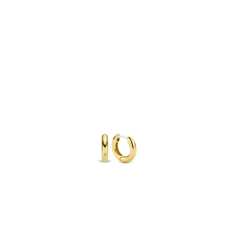Boucles d&#39;oreilles Ti Sento 7210YS