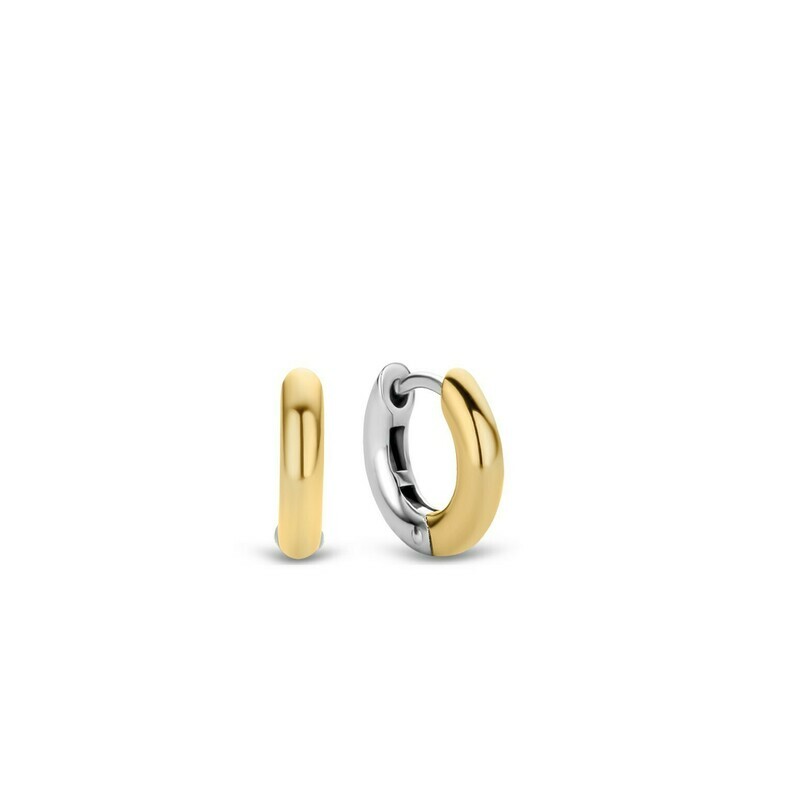 Boucles d&#39;oreilles Ti Sento 7210SY