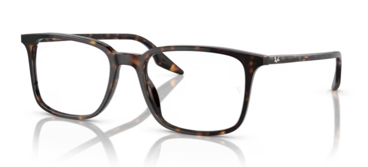 Ray Ban RX5421 2012