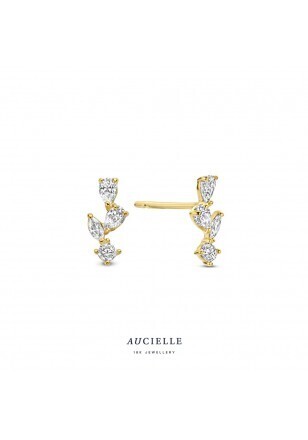 Boucles d&#39;oreilles AE0122C