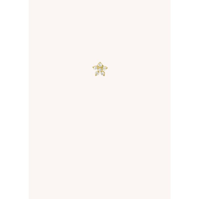 Kyoto Flower