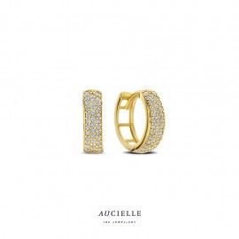 Boucles d&#39;oreilles Aucielle AE0249C