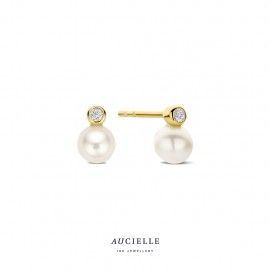 Boucles d&#39;oreilles Aucielle AE0130C