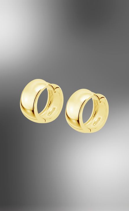 Boucles d&#39;oreilles Lotus Silver LP3774/4/2