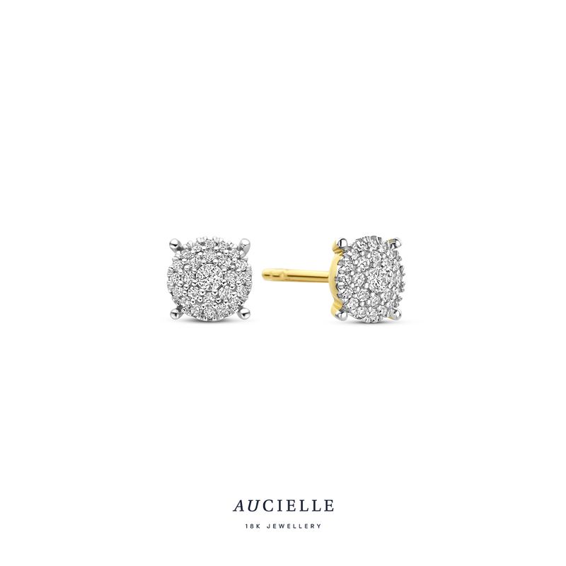 Boucles d&#39;oreilles Aucielle AE0239D