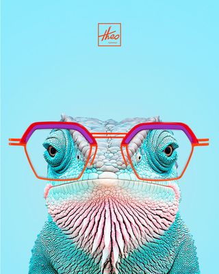OPTIQUES