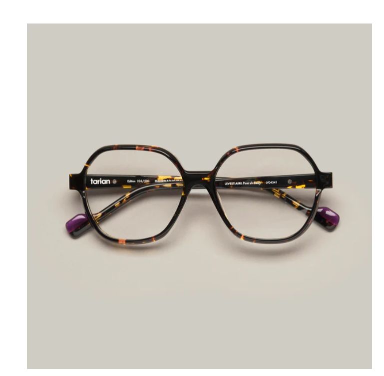 Tarian Pont de Sully 341