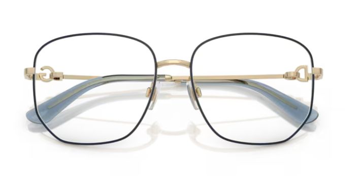 Dolce &amp; Gabbana DG1356 488