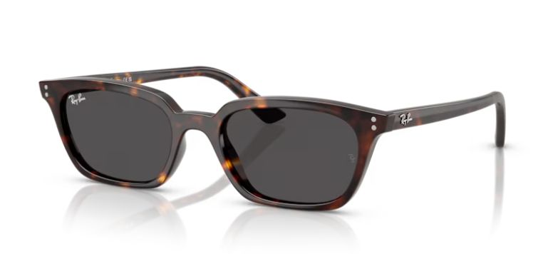 Ray Ban RB4456 1359/87