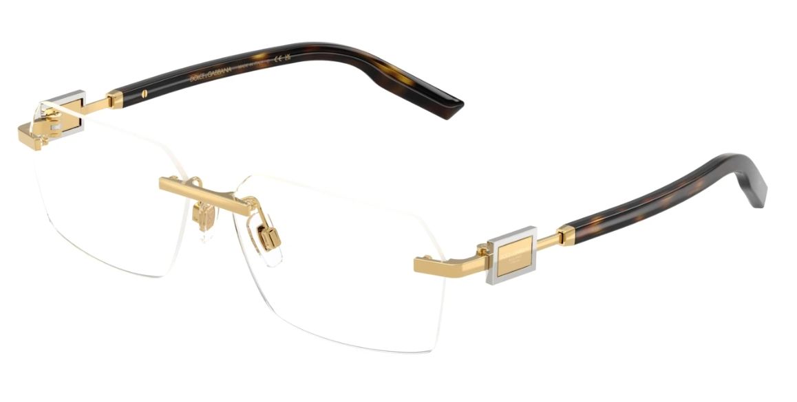 Dolce &amp; Gabbana DG1361 02