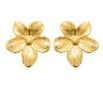 Boucles d'oreilles Acier Doré 3117909