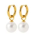 Boucles d'oreilles Doré 3608009