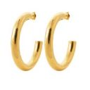 Boucles d'oreilles Acier Doré 3603209