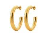 Boucles d'oreilles Acier Doré 3602809