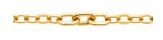 Bracelet Acier Doré 312287