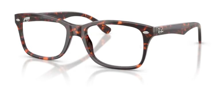 Ray Ban RX5228 8423