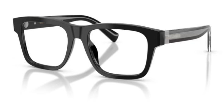 Dolce &amp; Gabbana DG3446 501