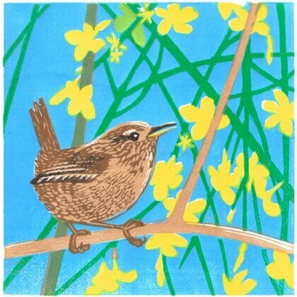 Wren in Winter Jasmine 4/20