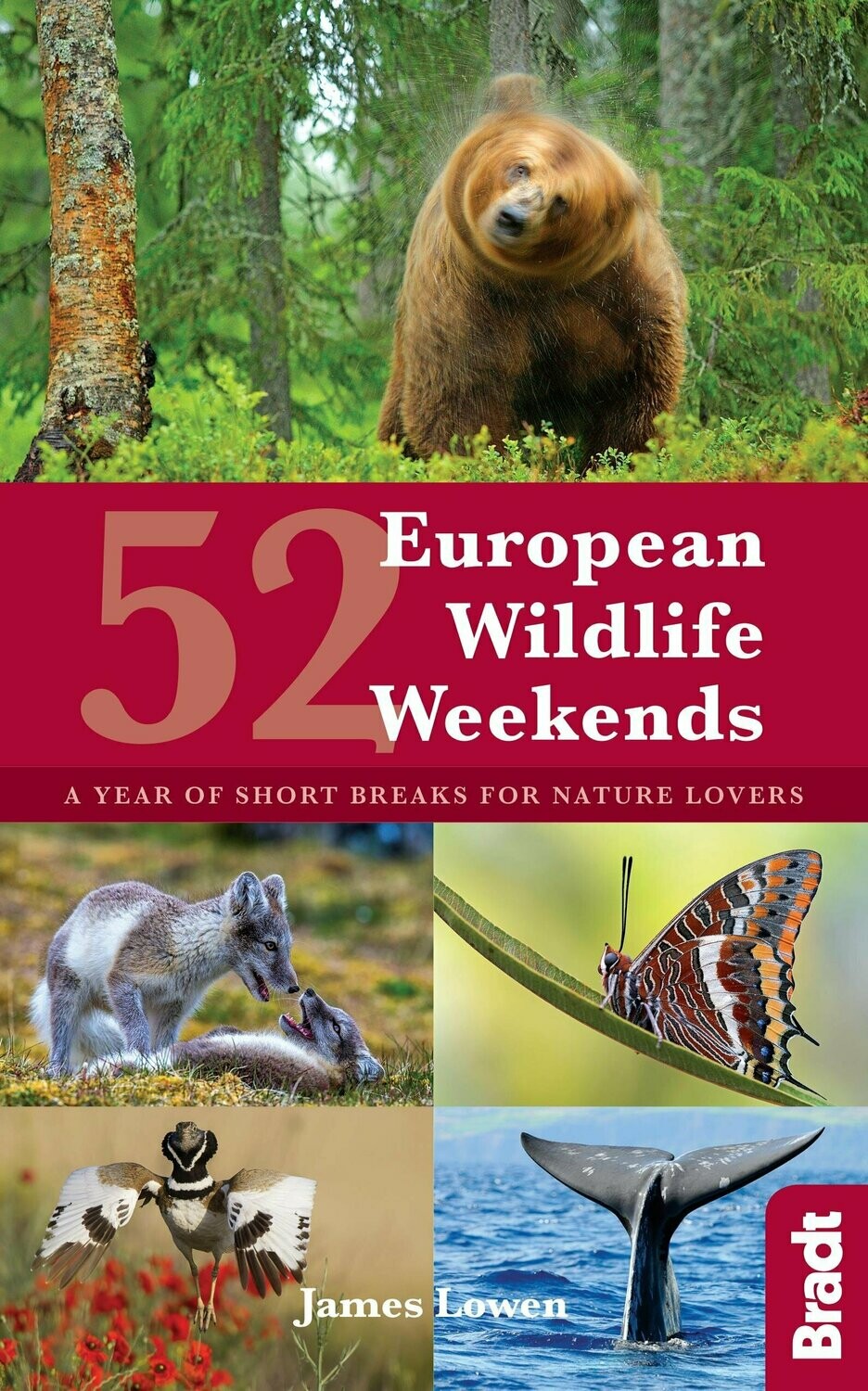 52 Wildlife Breaks in Europe: A year of short breaks for nature lovers - James Lowen