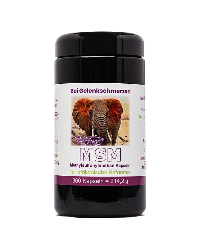 MSM Kapseln