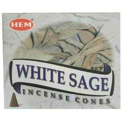 Cône Hem Sauge blanche