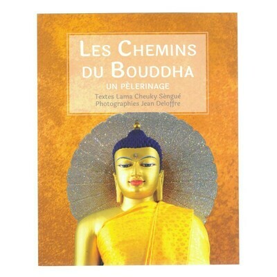 Les chemins du Bouddha
