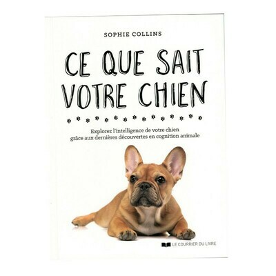 Ce que sait votre chien