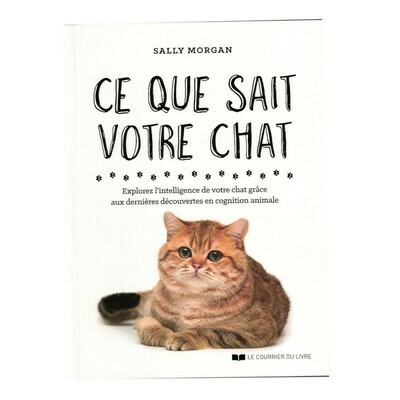 Ce que sait votre chat