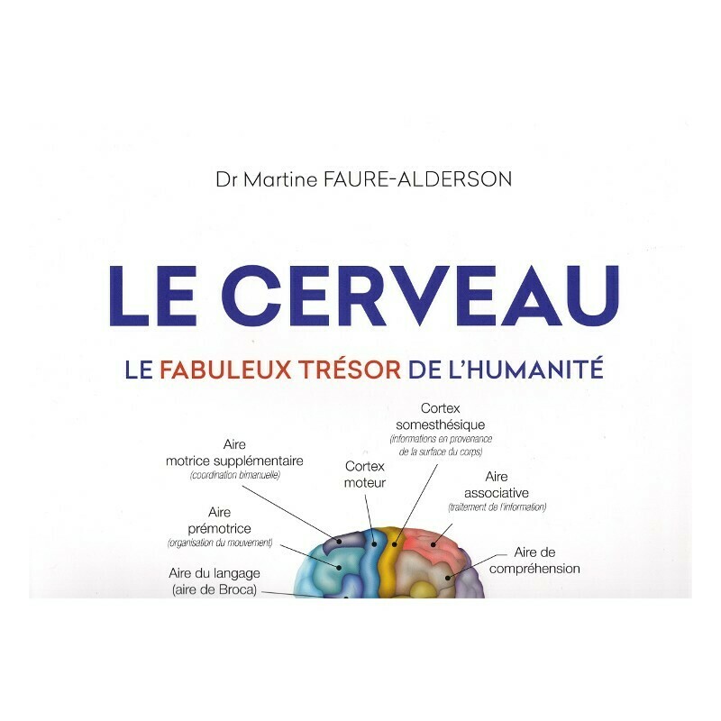 Le cerveau, le fabuleux trésor de l&#39;humanité