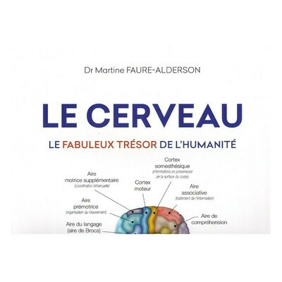 Le cerveau, le fabuleux trésor de l&#39;humanité