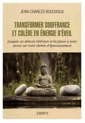 Transformer souffrance et colère en énergie d&#39;éveil