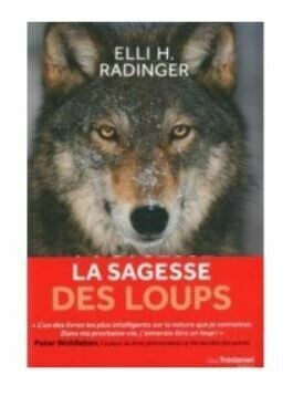 La sagesse des Loups