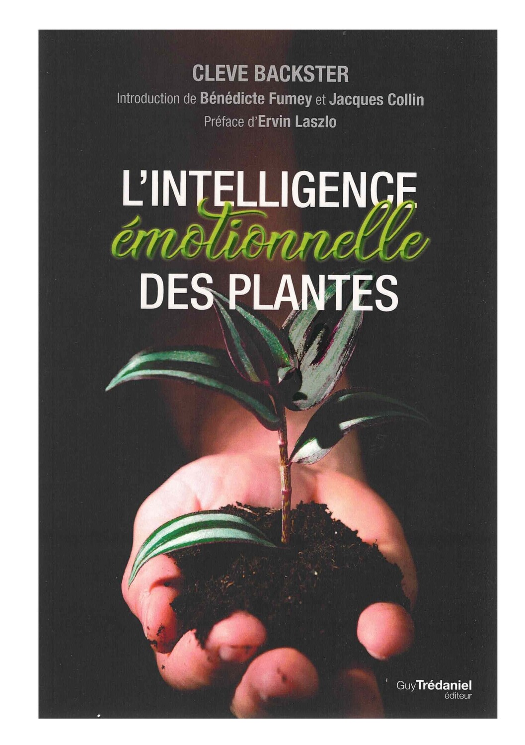 L'intelligence émotionnelle des plantes