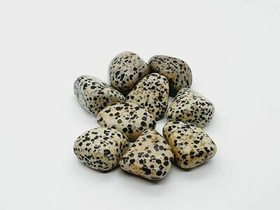 Jaspe Dalmatien