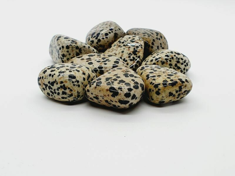 Jaspe Dalmatien