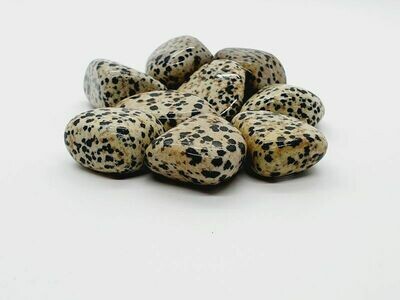 Jaspe Dalmatien