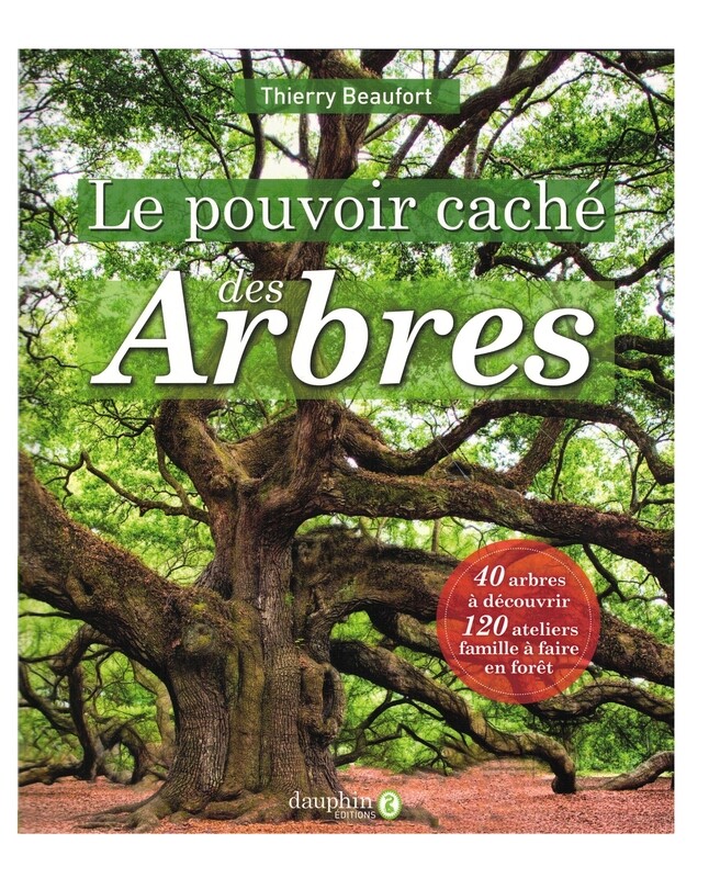 Le pouvoir caché des Arbres