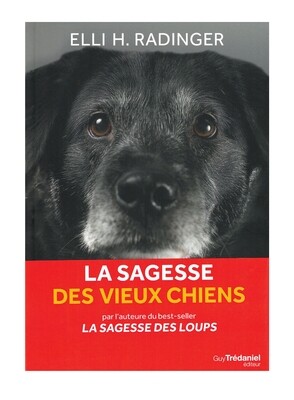 La sagesse des vieux chiens