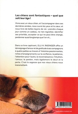 La sagesse des vieux chiens