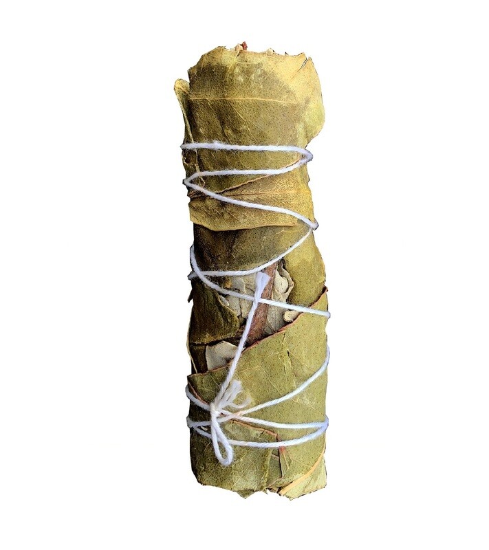 Sauge blanche Californie & Eucalyptus ficelle 20-25g Sauge blanche Californie & Eucalyptus ficelle 20-25g