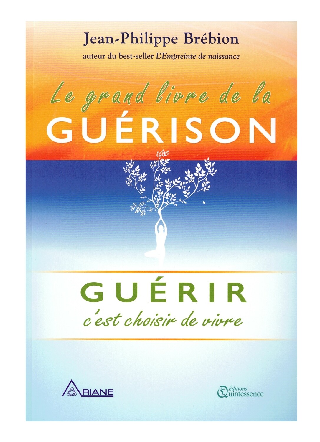 Le grand livre de la guérison
