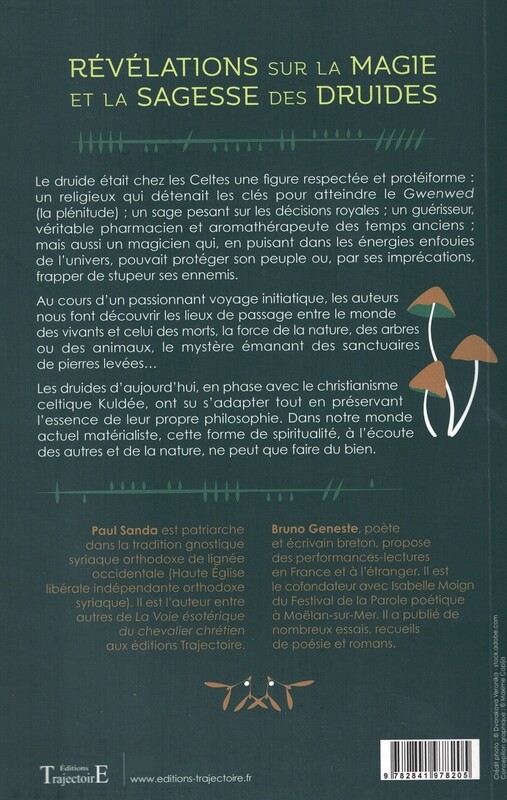 Révélations sur la magie et la sagesse des druides