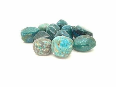 Chrysocolle